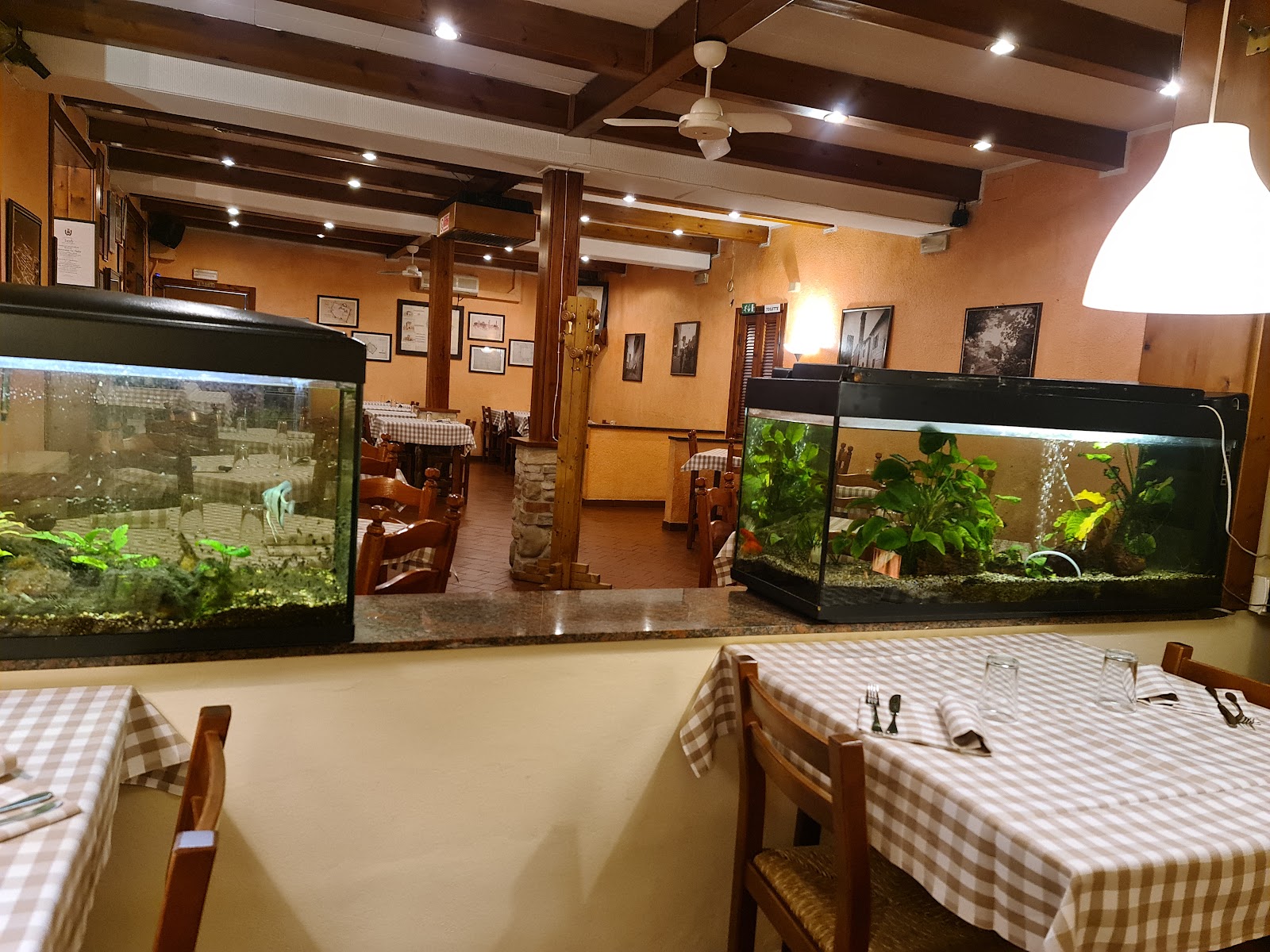 Foto di Osteria la pialla